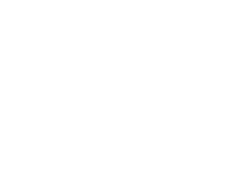 Logo Apogee White