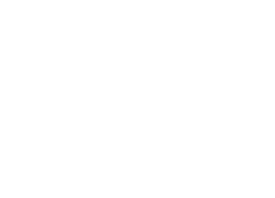 Logo Dell White