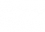 Logo Finra White